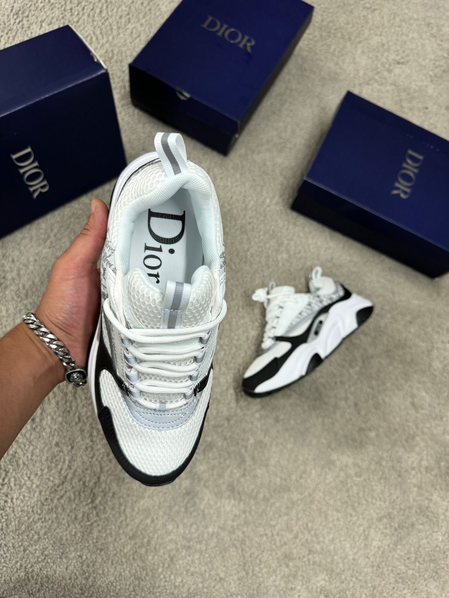 DIOR B22