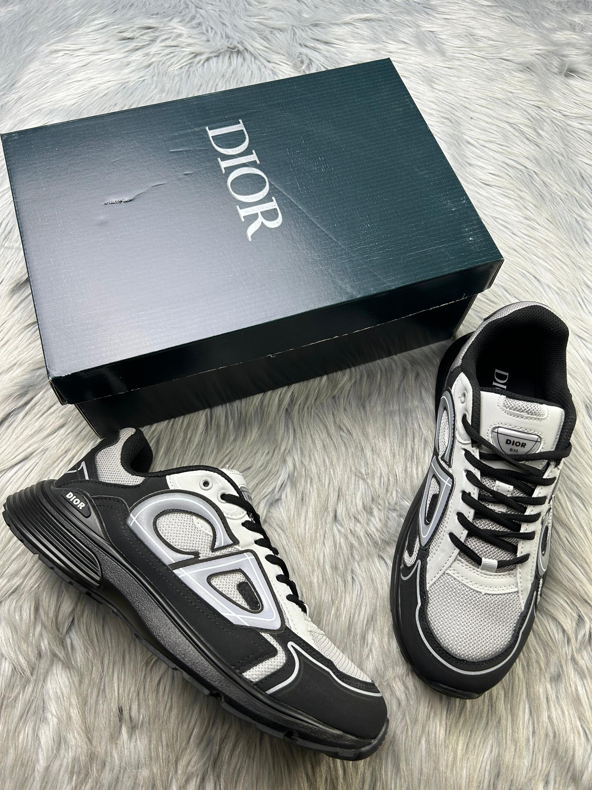 DIOR B30 GREY1